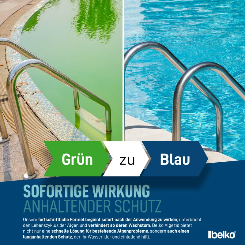 Belko® 5L Algizid Algenverhütung Anti - flüssig Algenmittel Pool Schwimmbad ohne Chlor