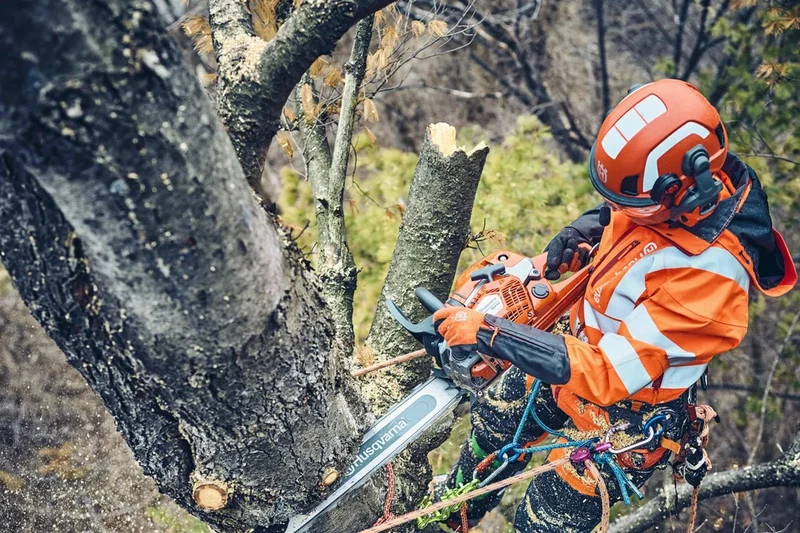 Husqvarna 560XPG Mark 2 mit 45cm Schwert