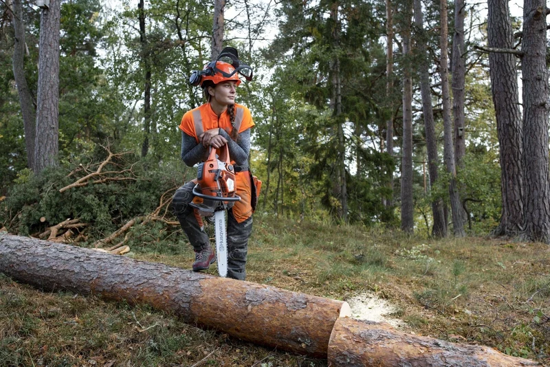 550 XP II, 550 XPG II Echte Profisäge