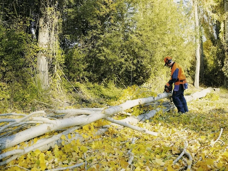 Husqvarna 445 II