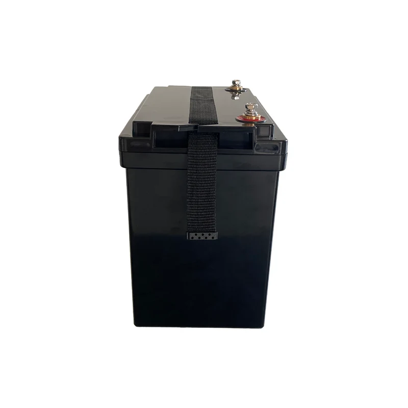 Batterie LiFePO4 IDEALAKKU IB-12-100-MINI 12.8V 100Ah