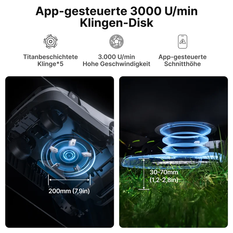 Blitzangebot: 50 % RABATT auf ANTHBOT Genie