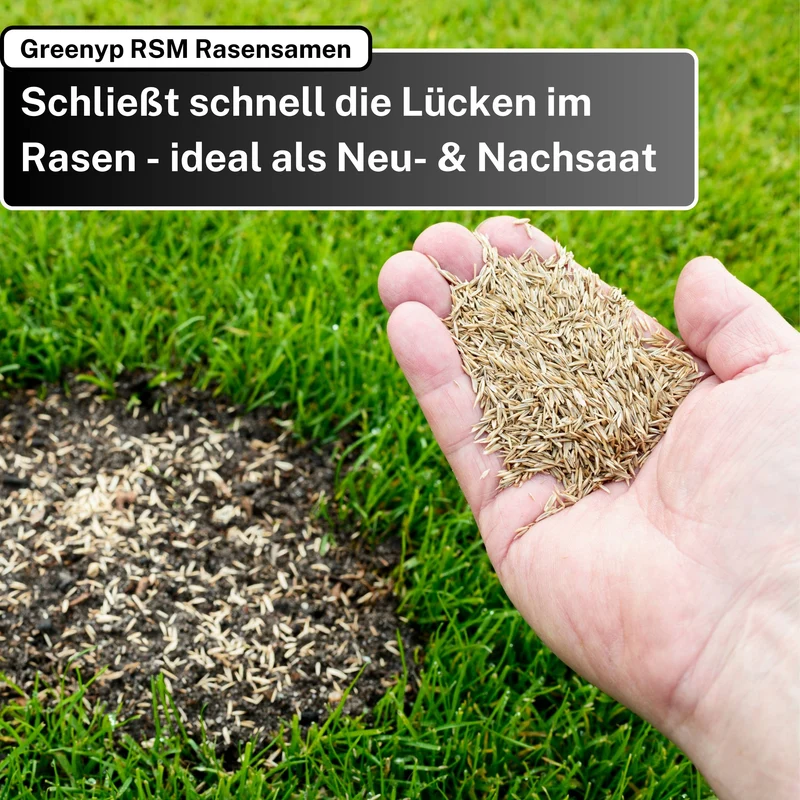 Turbo Nachsaat Sparpaket