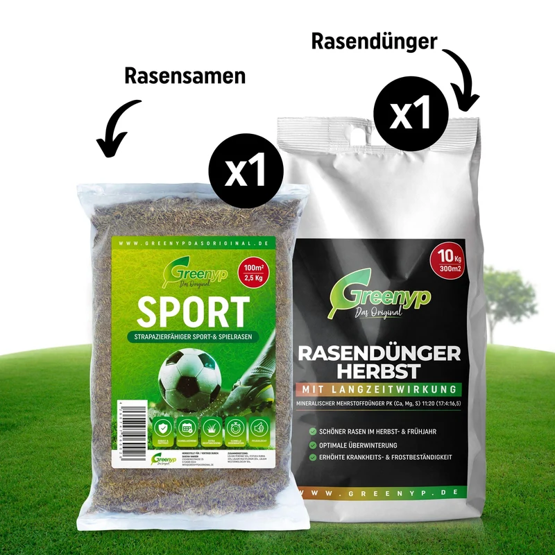 Sport- & Spielrasen Sparpaket