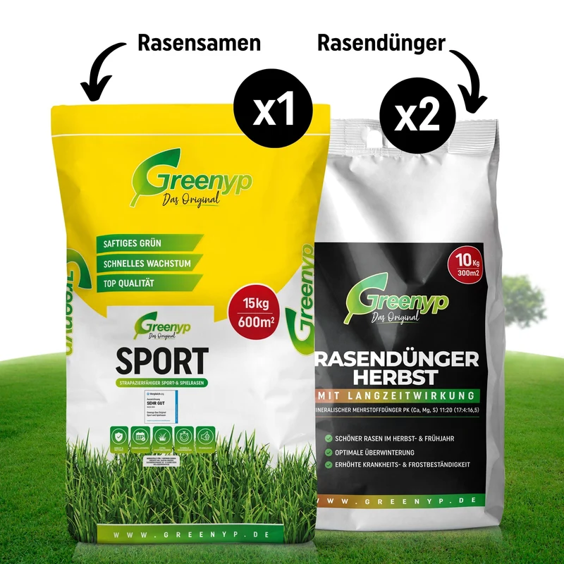 Sport- & Spielrasen Sparpaket