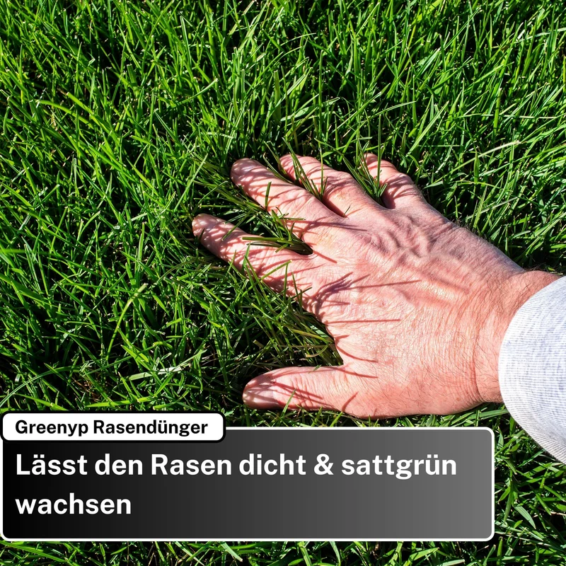Sport- & Spielrasen Sparpaket