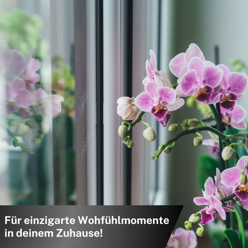 Orchideen Düngestäbchen