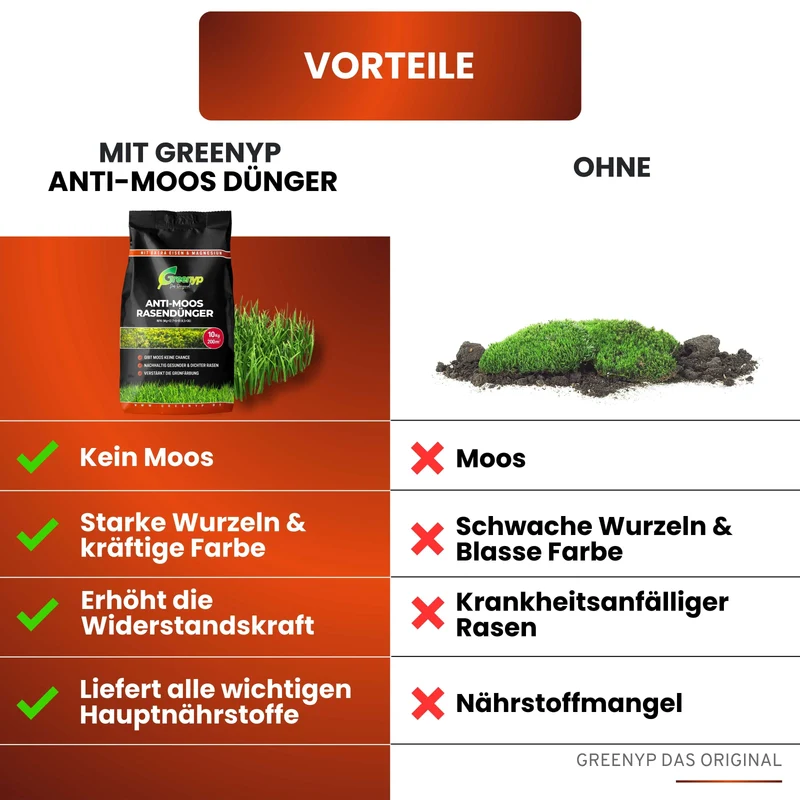 Anti Moos Rasendünger