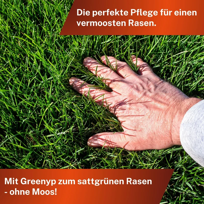 Anti Moos Rasendünger