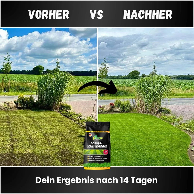 Sofort Rasendünger