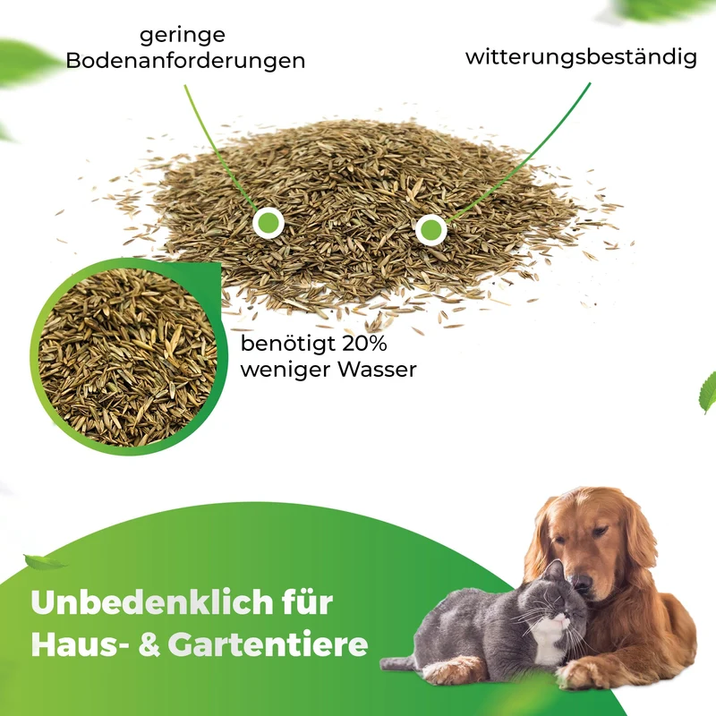 Trockenrasen