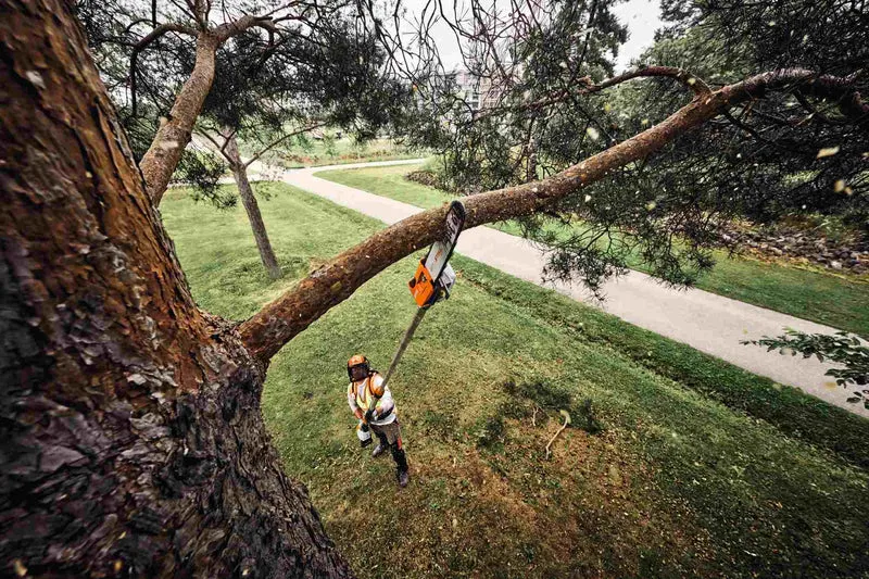 STIHL Akku-Hochentaster HTA 160 B, PM3, Schienenlänge 30 cm ohne Akku und Ladegerät