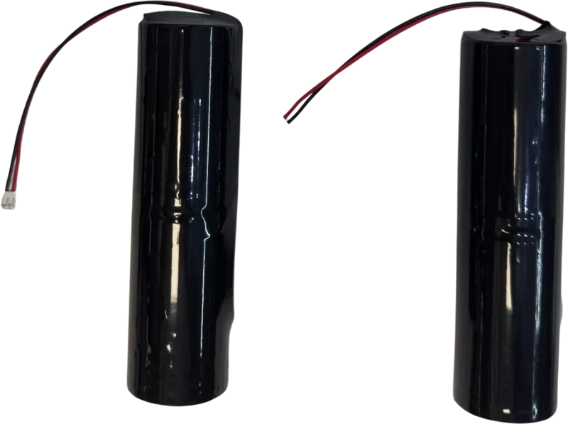 2x Piles 3V Alcalines Format D pour Alarme Piscine KidsGuard 2 – 6V