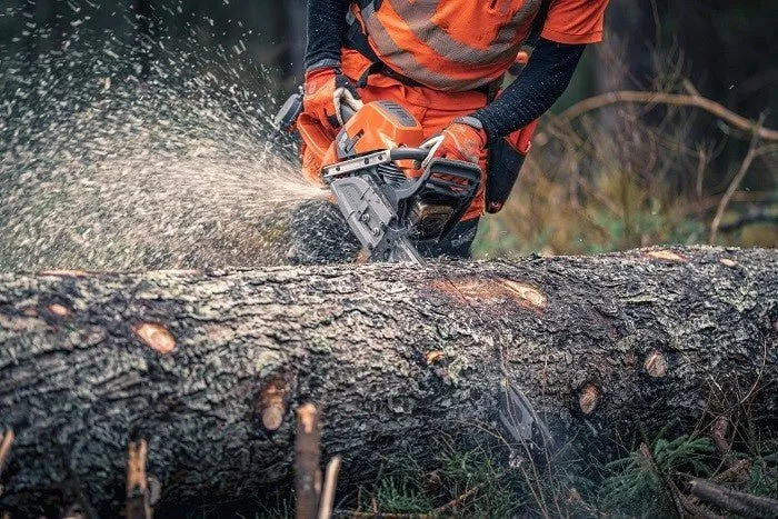 592XP/ 592XPG Bärenstark