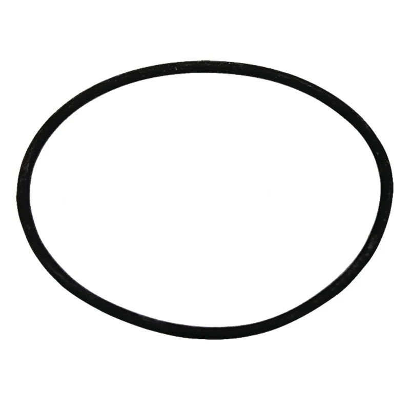 ARAG Dichtring 58,7x3,5mm