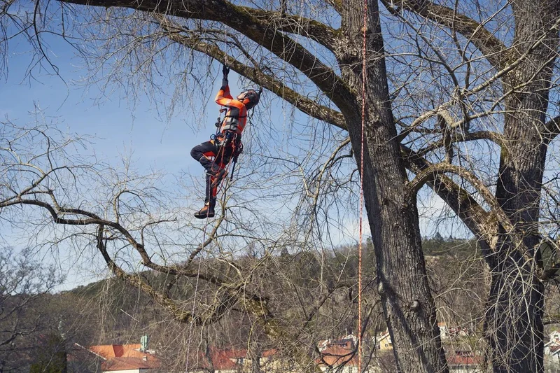 Husqvarna Kletterseil in Orange 11,5 mm x 45 m / 60 m