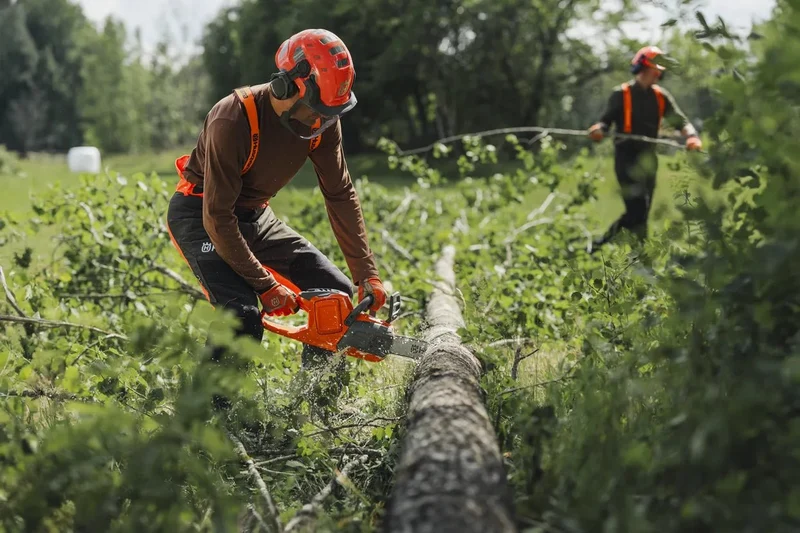 Husqvarna 435i Akku-Kettensäge