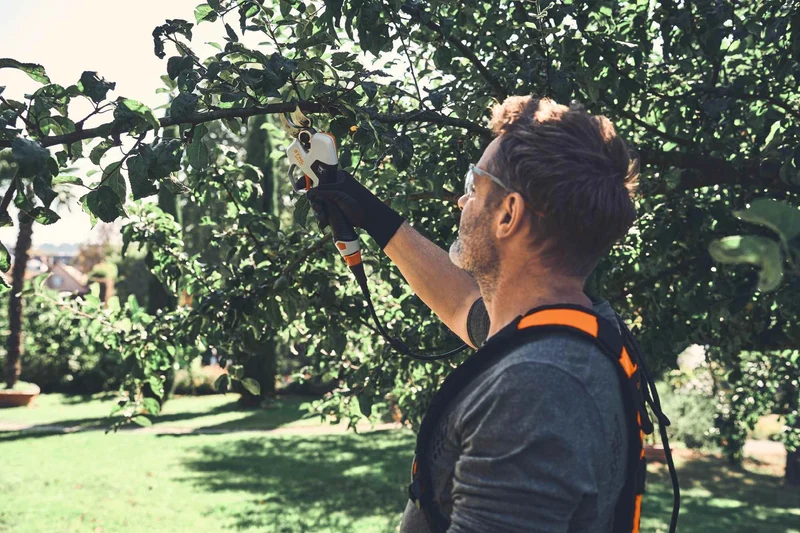 STIHL Akku-Astschere ASA 140 Set mit Akku AP 30