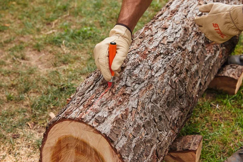 STIHL Signierkreide Signierkreide, 12 Stück