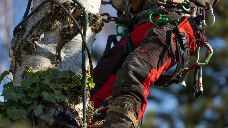 Deep Forest Schnittschutzhose in rot
