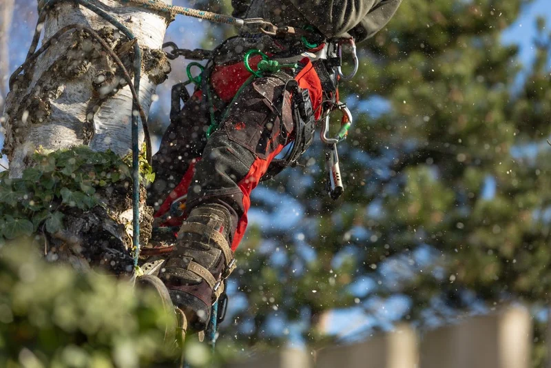 Deep Forest Schnittschutzhose in rot
