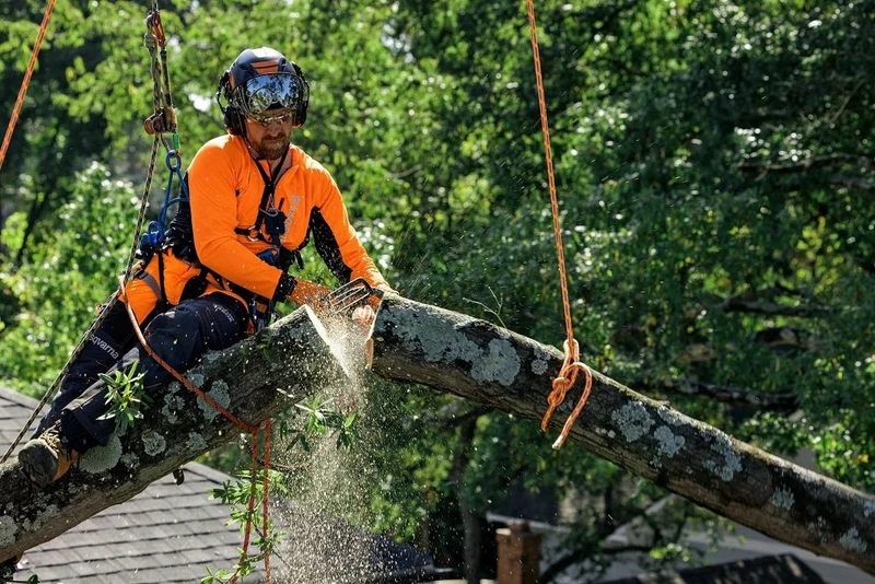 Husqvarna 540XP Mark III Kettensäge