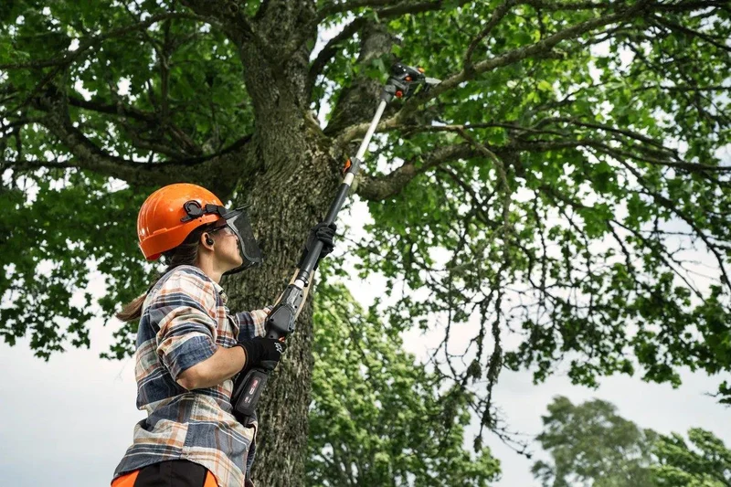 Husqvarna Akku-Hochentaster Aspire P8X-P4A + Verlängerung-P4A - ohne Akku und Ladegerät
