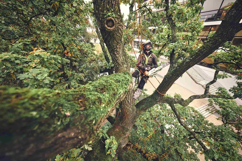STIHL Akku-Baumpflegesäge MSA 220 T, PS3, Schienenlänge 35 cm - ohne Akku und Ladegerät