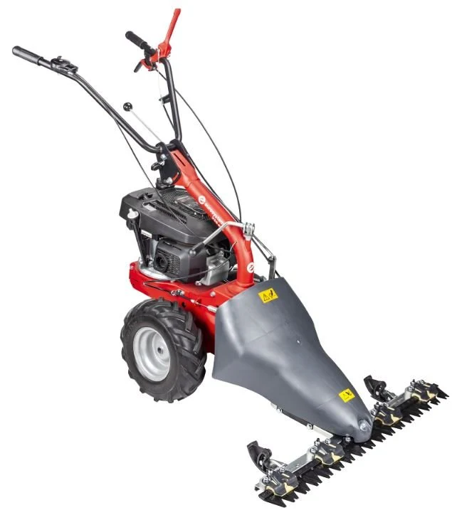 Eurosystems Geräteträger P55EVO M 220 B&S 675iS, 163 ccm, InStart - Grundmaschine ohne Anbaugeräte