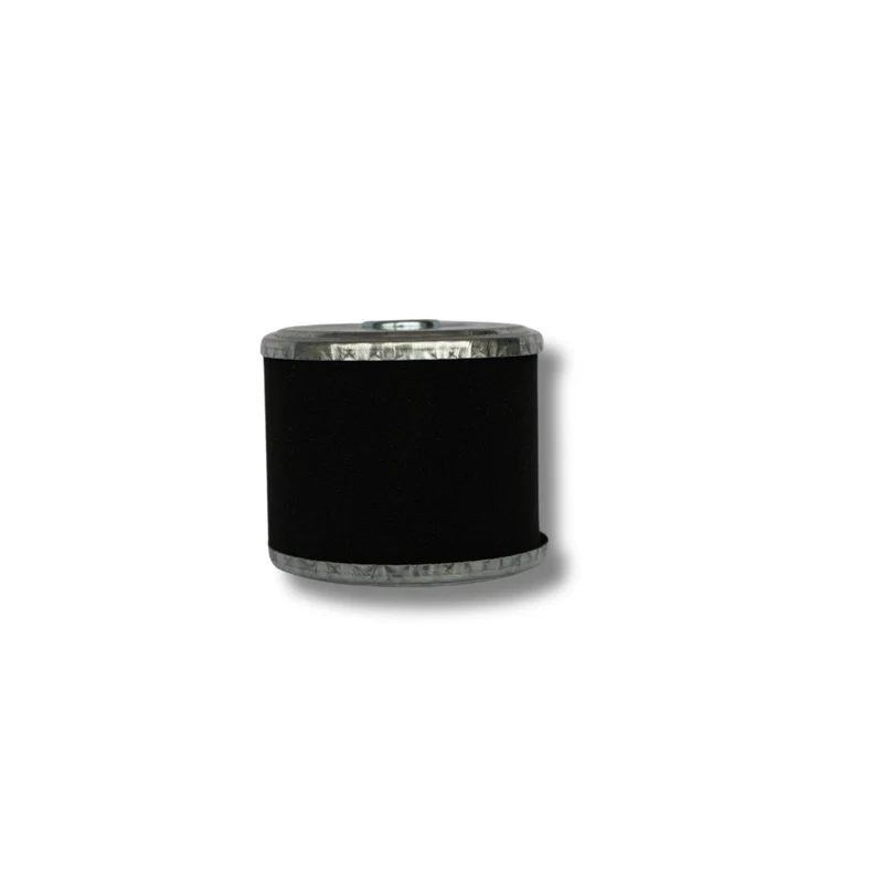 Luchtfilter voor FX-BV240 en FX-BV240ECO
