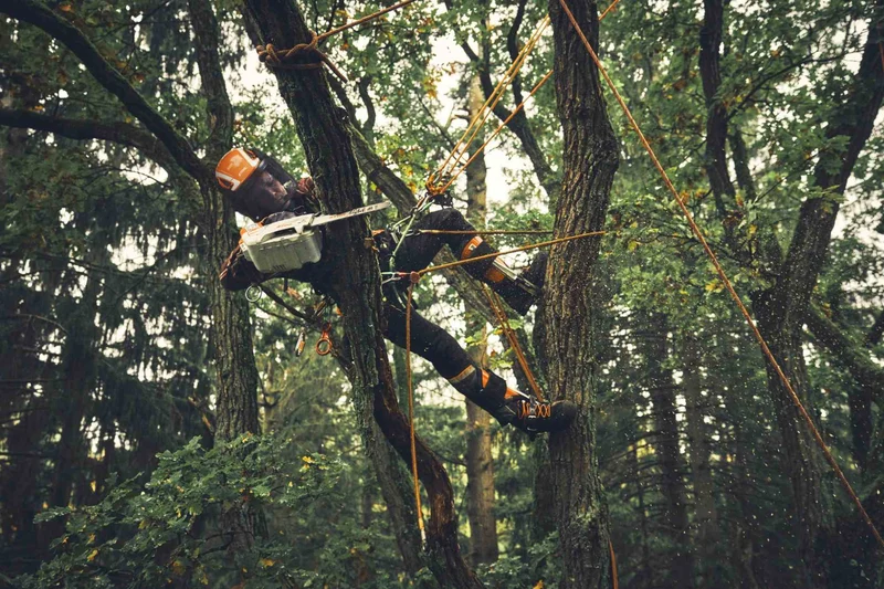 STIHL Akku-Baumpflegesäge MSA 190 T, PM3, Schienenlänge 35 cm