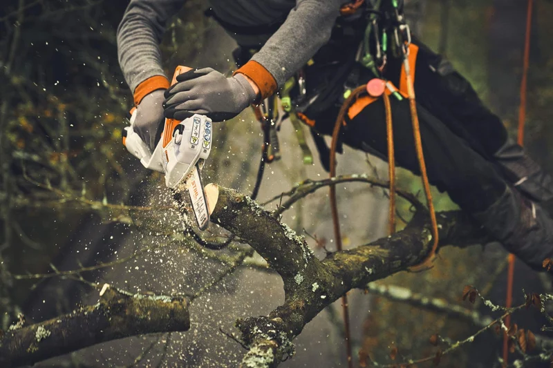 STIHL Führungsschiene 1/4", Schiene L01 20cm/8 1,1mm/0.043"