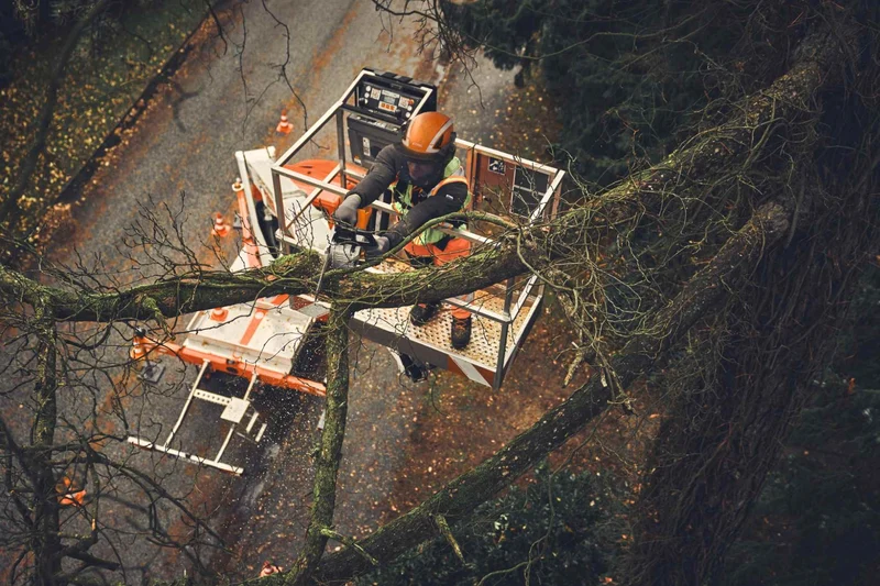 STIHL Akku-Baumpflegesäge MSA 190 T, PM3, Schienenlänge 30 cm