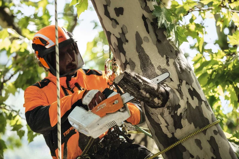STIHL Helmset, ADVANCE X-Climb ME