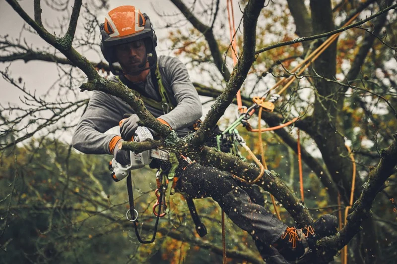 Stihl GTA 40 Akku-Gehölzschneider AS-System, mit 2x Akku und Ladegerät AL 5-2