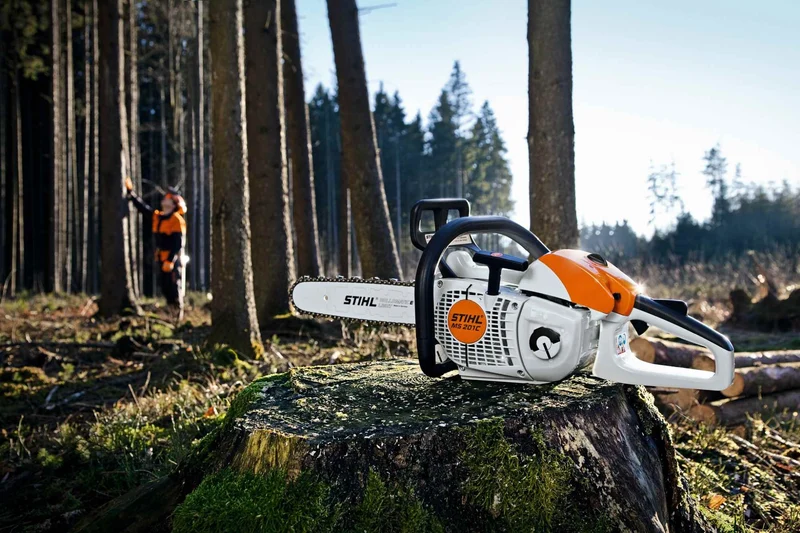 STIHL Profi Motorsäge MS 201 C-M, PS3, Schienenlänge 30cm
