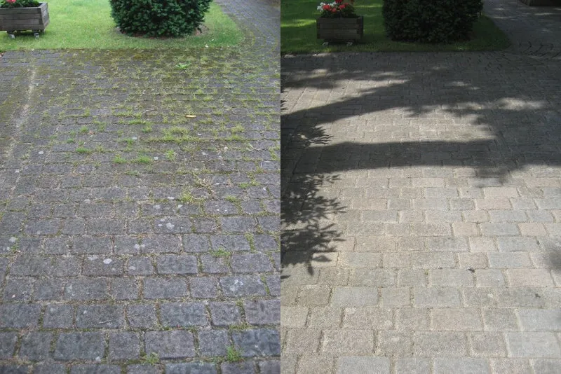 Kwern Wildkrautbürste Greenbuster Home 550