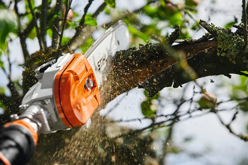 STIHL Benzin-Hochentaster HT135