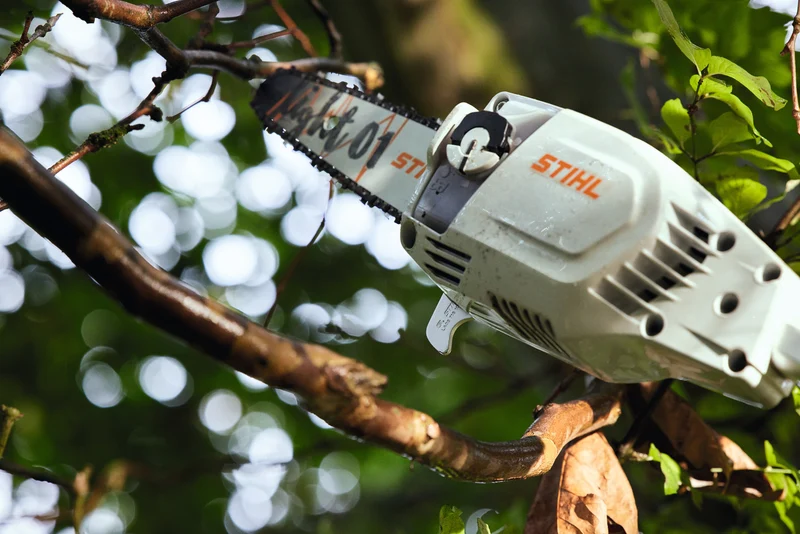 STIHL Akku-Hochentaster HTA86 - AP-System
