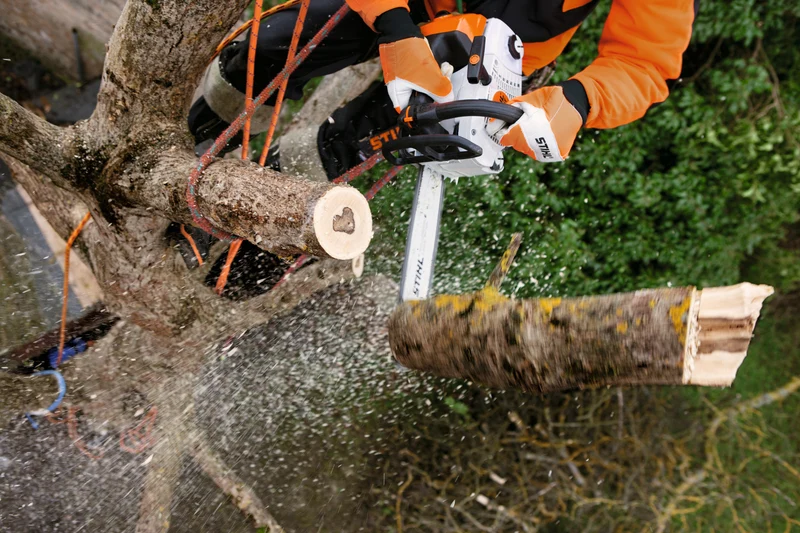 STIHL Benzin-Kettensäge MS201
