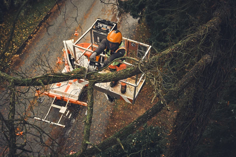 STIHL Akku-Kettensäge MSA190 T - AP-System