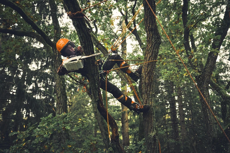 STIHL Akku-Kettensäge MSA190 T - AP-System