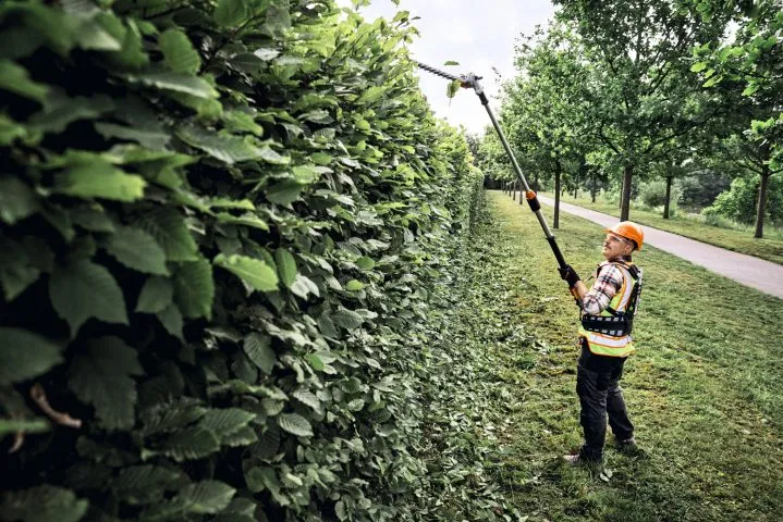 STIHL Akku-Heckenschneider HLA 150 B - AP-System