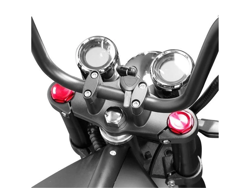 E-Chopper X9 2000W 25-45 km/h Schwarz Matt