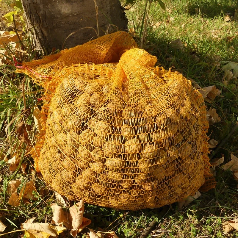 GRANIT Raschelsack Größe (mm) 500 x 800